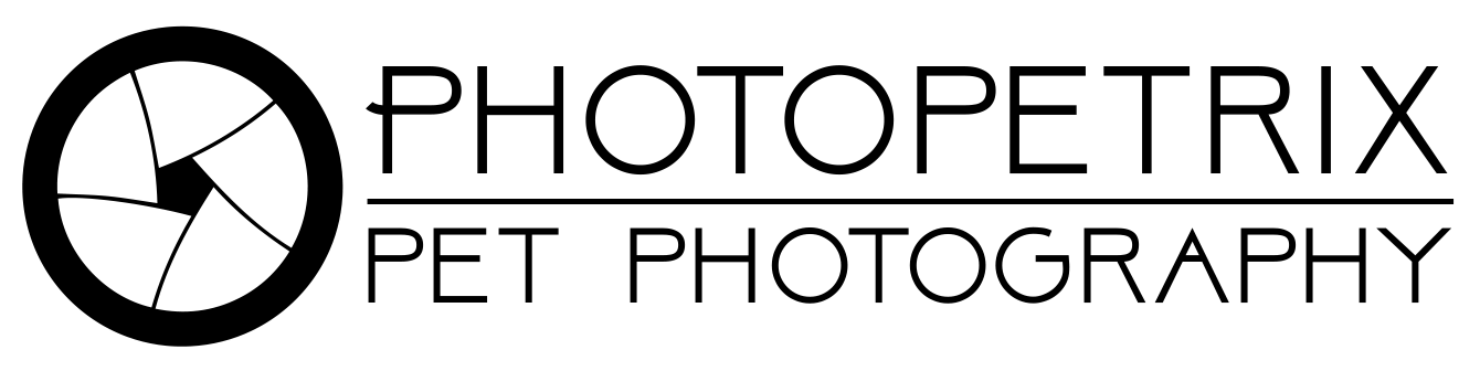 Logo for Photopetrix